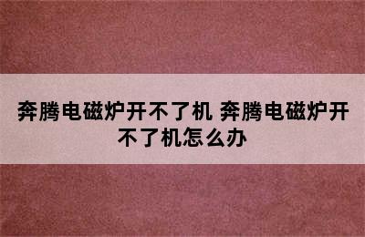 奔腾电磁炉开不了机 奔腾电磁炉开不了机怎么办